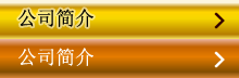 公司简介