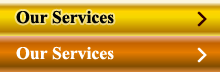 Our Services